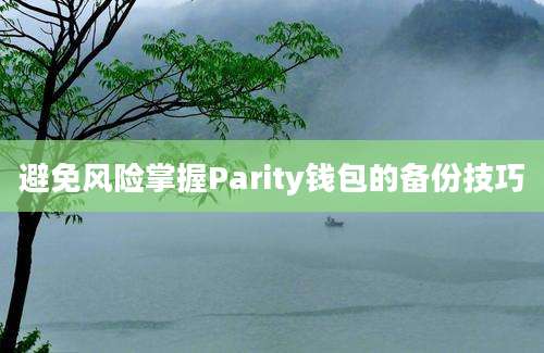 避免风险掌握Parity钱包的备份技巧