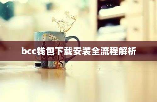 bcc钱包下载安装全流程解析