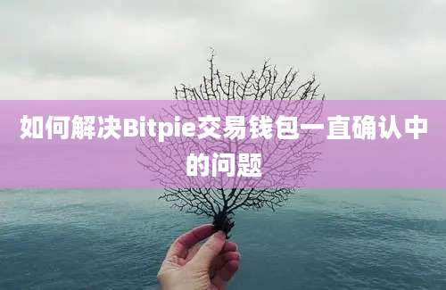 如何解决Bitpie交易钱包一直确认中的问题