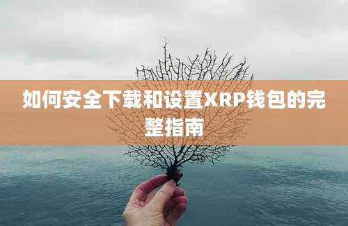 如何安全下载和设置XRP钱包的完整指南