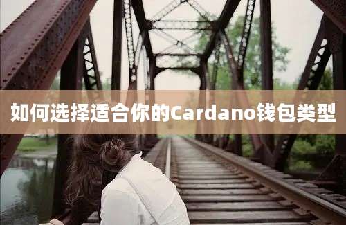 如何选择适合你的Cardano钱包类型