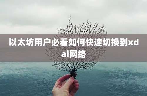 以太坊用户必看如何快速切换到xdai网络