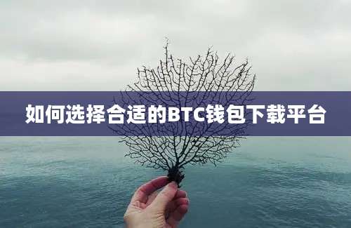 如何选择合适的BTC钱包下载平台