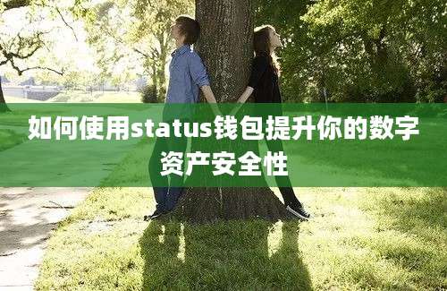 如何使用status钱包提升你的数字资产安全性