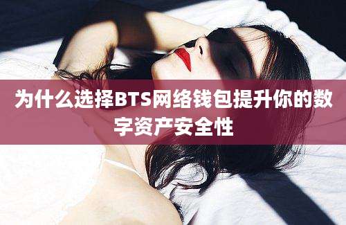 为什么选择BTS网络钱包提升你的数字资产安全性