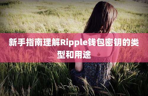 新手指南理解Ripple钱包密钥的类型和用途