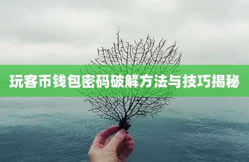 玩客币钱包密码破解方法与技巧揭秘