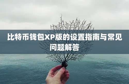 比特币钱包XP版的设置指南与常见问题解答