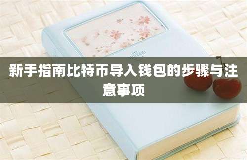 新手指南比特币导入钱包的步骤与注意事项