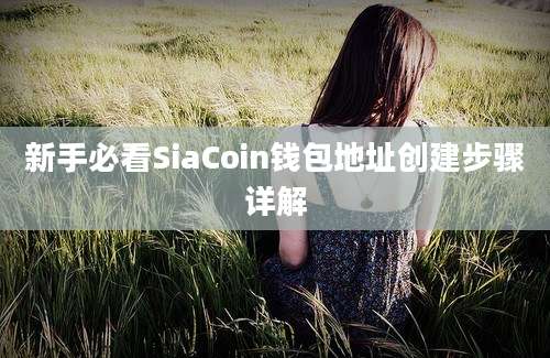 新手必看SiaCoin钱包地址创建步骤详解