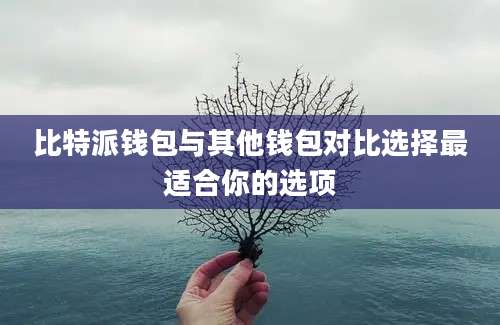 比特派钱包与其他钱包对比选择最适合你的选项