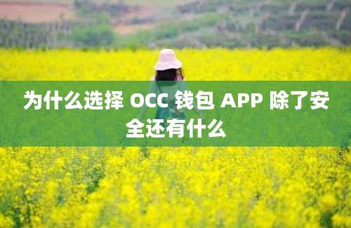 为什么选择 OCC 钱包 APP 除了安全还有什么