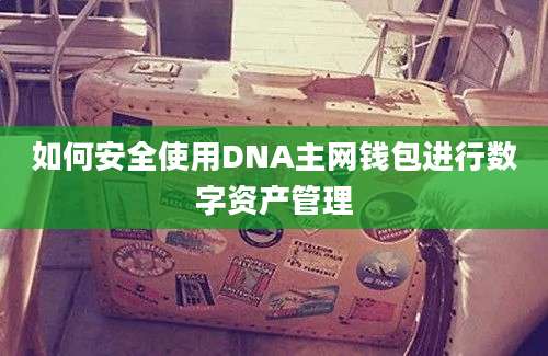 如何安全使用DNA主网钱包进行数字资产管理