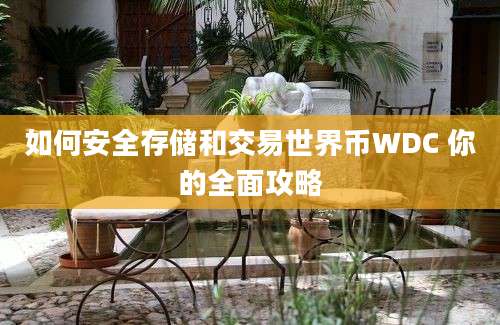 如何安全存储和交易世界币WDC 你的全面攻略