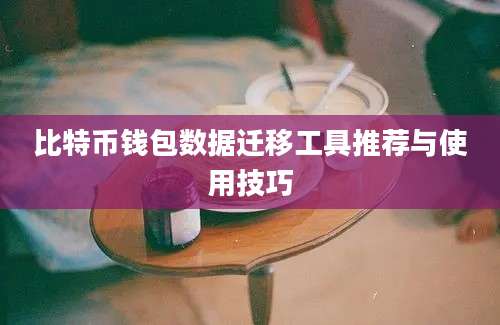 比特币钱包数据迁移工具推荐与使用技巧