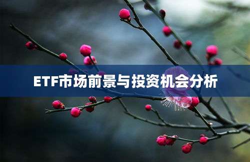 ETF市场前景与投资机会分析