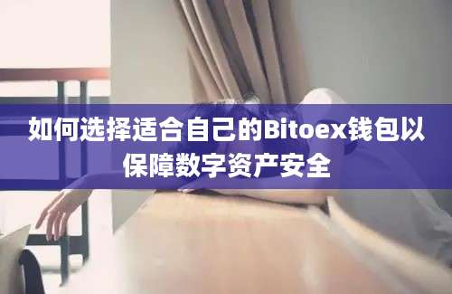 如何选择适合自己的Bitoex钱包以保障数字资产安全