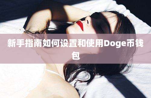 新手指南如何设置和使用Doge币钱包