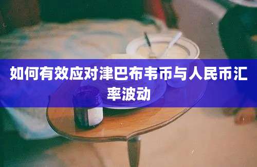 如何有效应对津巴布韦币与人民币汇率波动