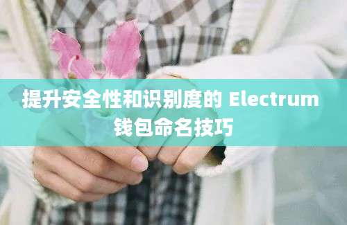 提升安全性和识别度的 Electrum 钱包命名技巧