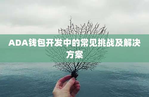 ADA钱包开发中的常见挑战及解决方案