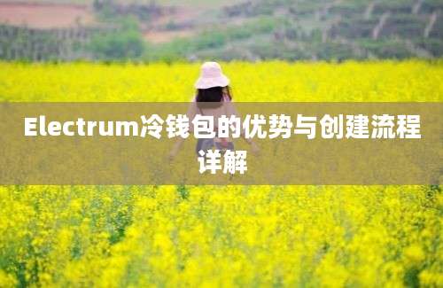 Electrum冷钱包的优势与创建流程详解