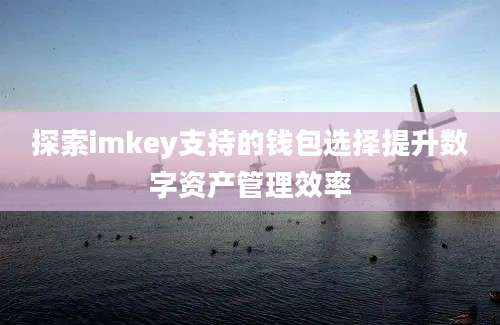 探索imkey支持的钱包选择提升数字资产管理效率