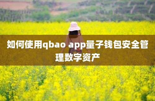 如何使用qbao app量子钱包安全管理数字资产