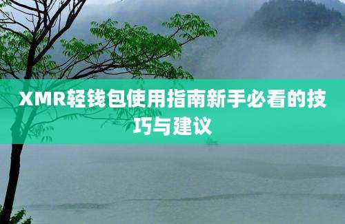 XMR轻钱包使用指南新手必看的技巧与建议