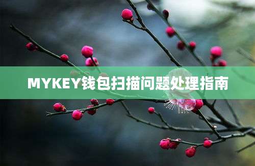 MYKEY钱包扫描问题处理指南