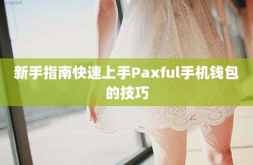 新手指南快速上手Paxful手机钱包的技巧