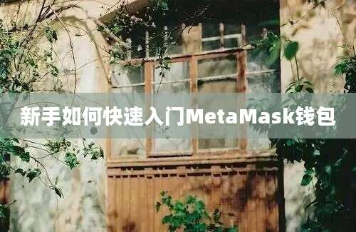 新手如何快速入门MetaMask钱包