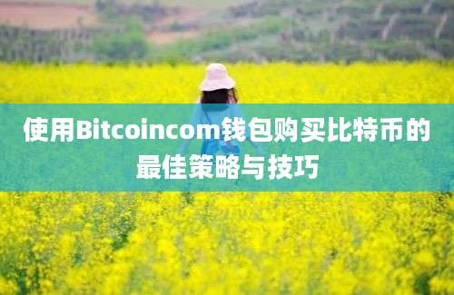 使用Bitcoincom钱包购买比特币的最佳策略与技巧