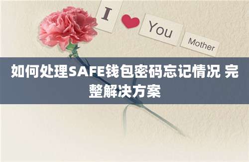 如何处理SAFE钱包密码忘记情况 完整解决方案