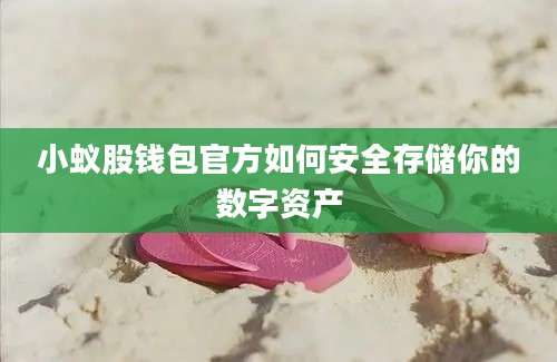 小蚁股钱包官方如何安全存储你的数字资产