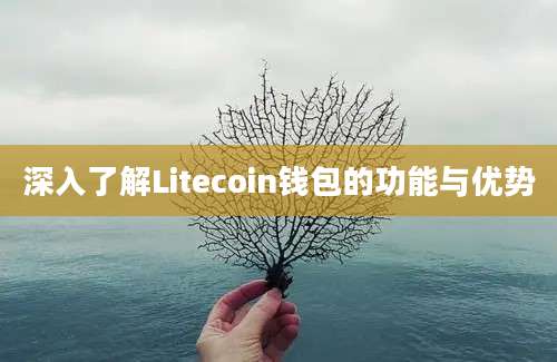 深入了解Litecoin钱包的功能与优势