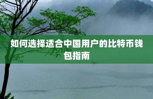 如何选择适合中国用户的比特币钱包指南