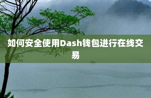 如何安全使用Dash钱包进行在线交易