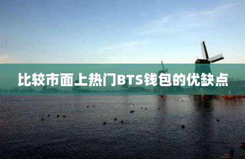 比较市面上热门BTS钱包的优缺点