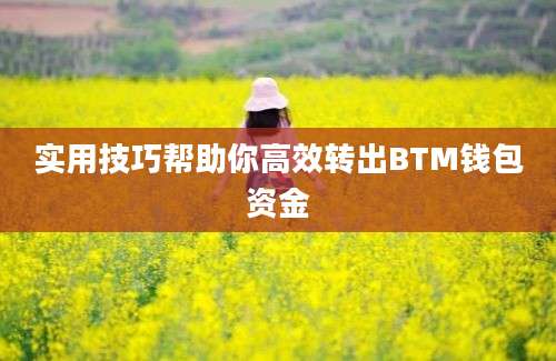 实用技巧帮助你高效转出BTM钱包资金