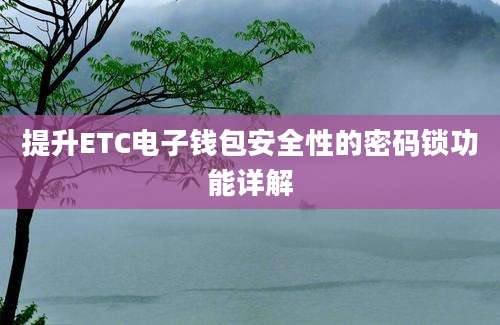 提升ETC电子钱包安全性的密码锁功能详解