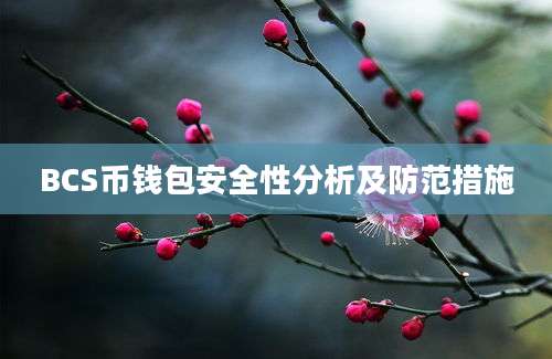 BCS币钱包安全性分析及防范措施