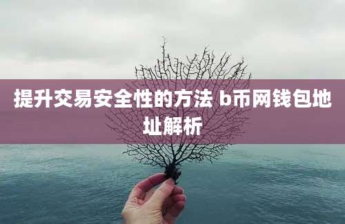 提升交易安全性的方法 b币网钱包地址解析