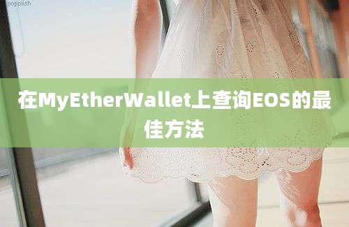 在MyEtherWallet上查询EOS的最佳方法