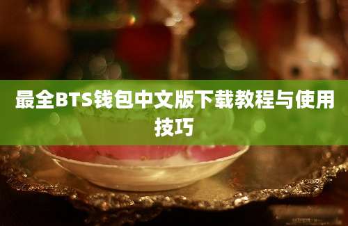 最全BTS钱包中文版下载教程与使用技巧