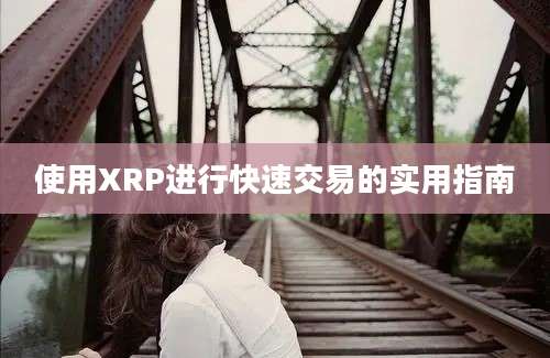 使用XRP进行快速交易的实用指南