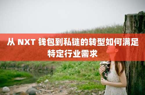 从 NXT 钱包到私链的转型如何满足特定行业需求