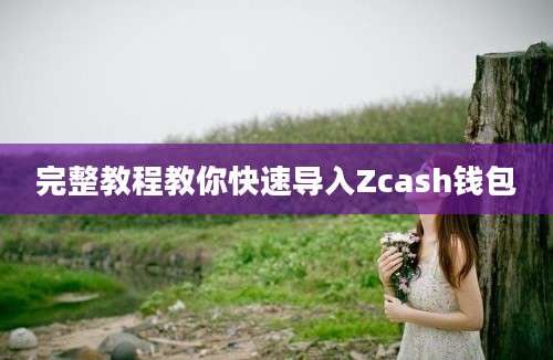 完整教程教你快速导入Zcash钱包