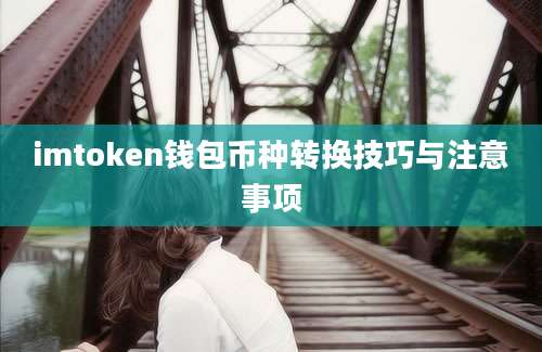 imtoken钱包币种转换技巧与注意事项