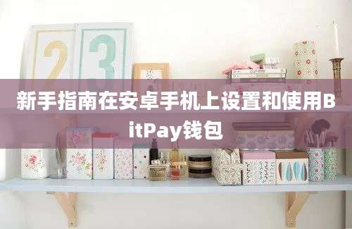 新手指南在安卓手机上设置和使用BitPay钱包